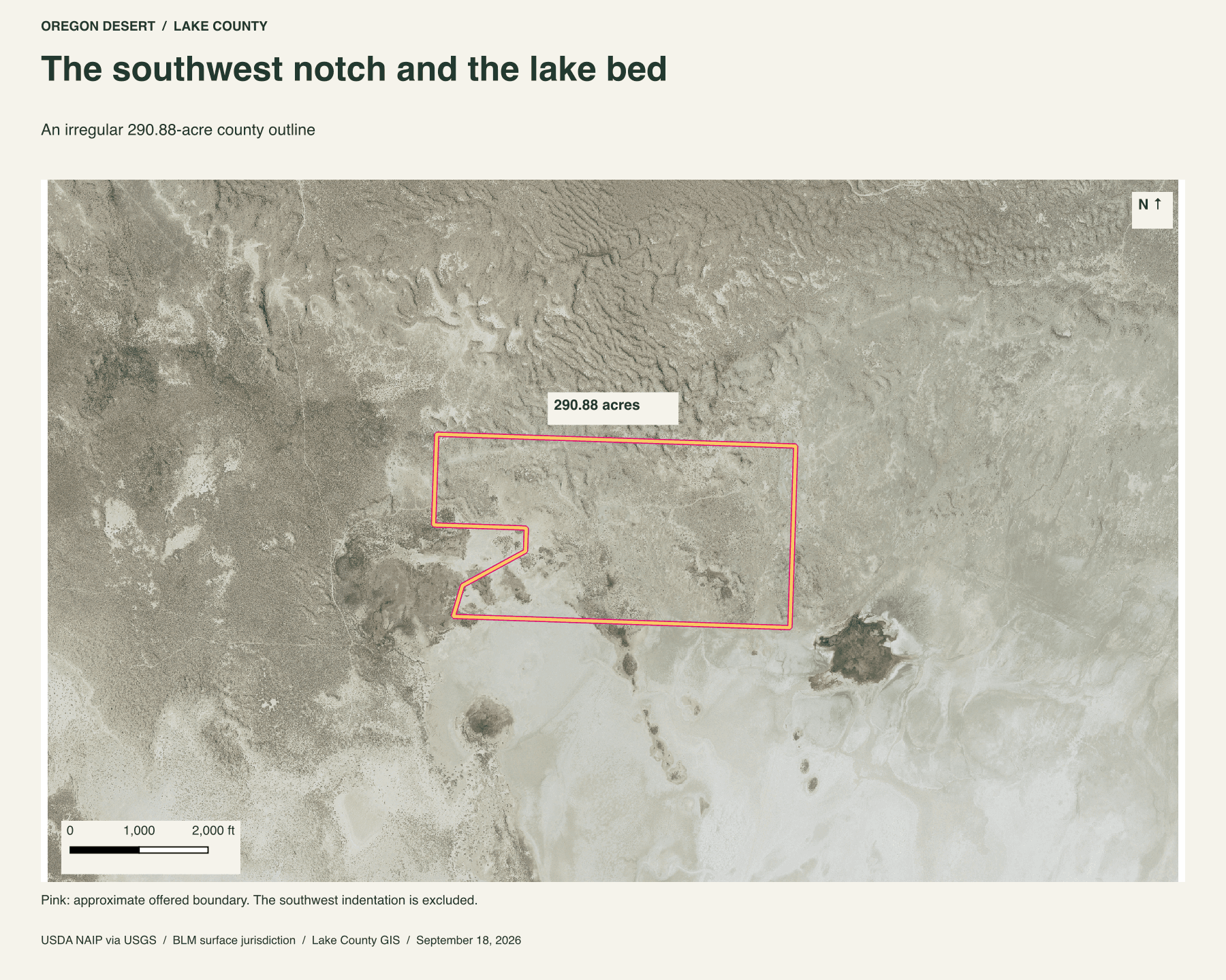 QGIS aerial map of 290.88 acres at the north edge of Alkali Lake, with the irregular southwest notch outlined in pink