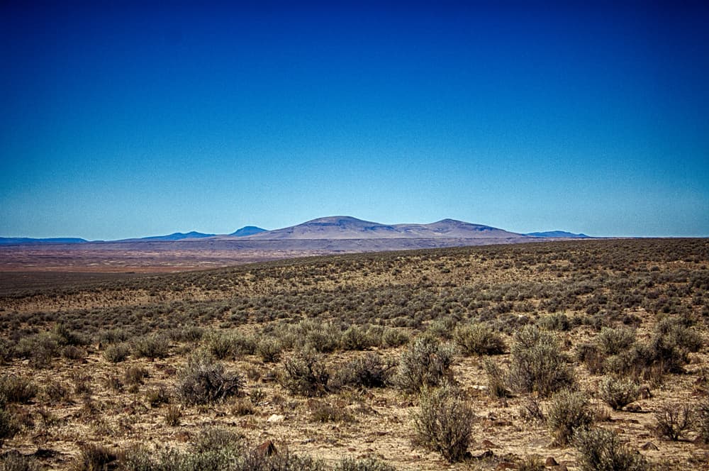 Sagebrush and rocky ground with low hills on the horizon