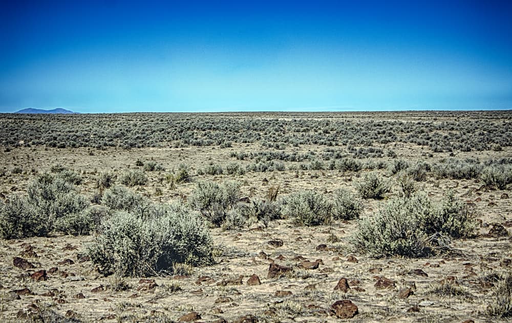 Scattered rocks and sagebrush on gently rolling ground