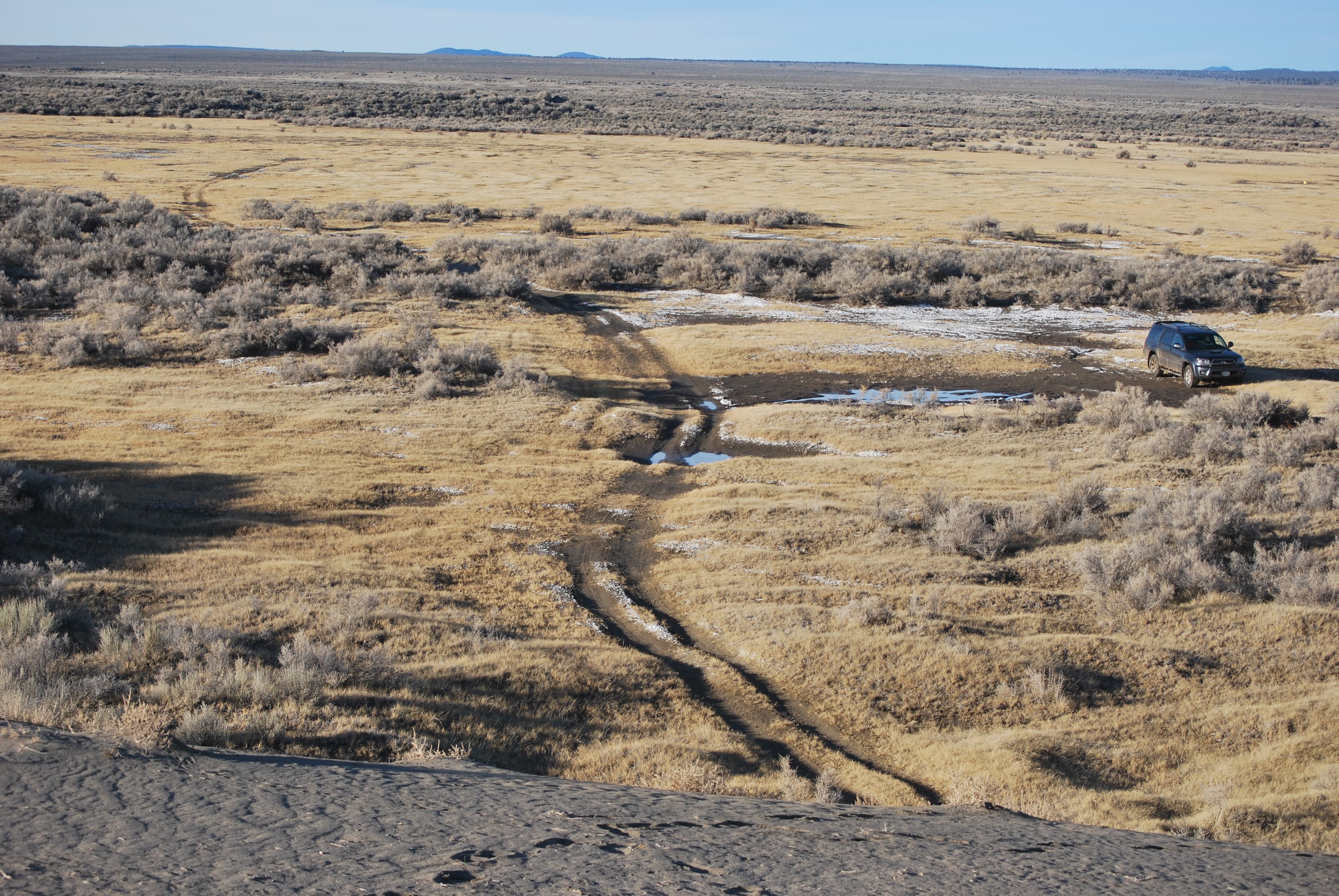 Looking north towards Lost Forest Road from one of the dunes bordering the property.