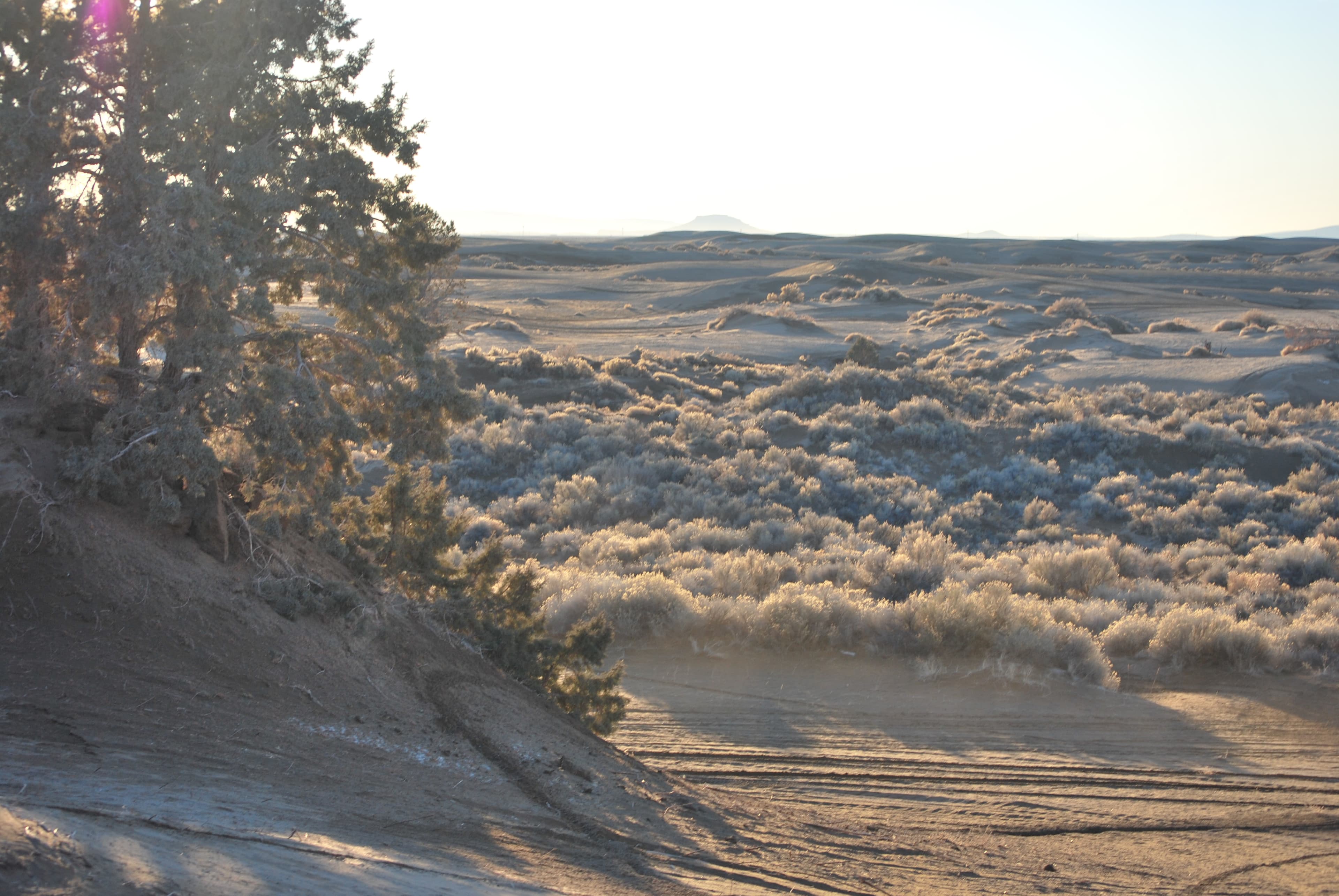 Sand dunes on the Christmas Valley property