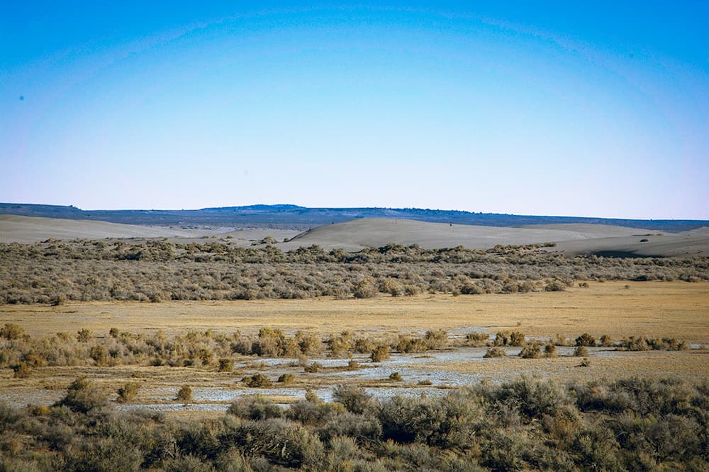 Sandy dunes and sagebrush with a shallow pool in the foreground