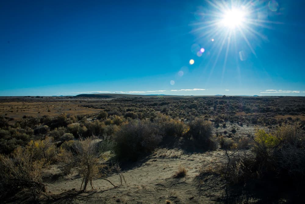 Sunlight over sandy ground and low desert shrubs
