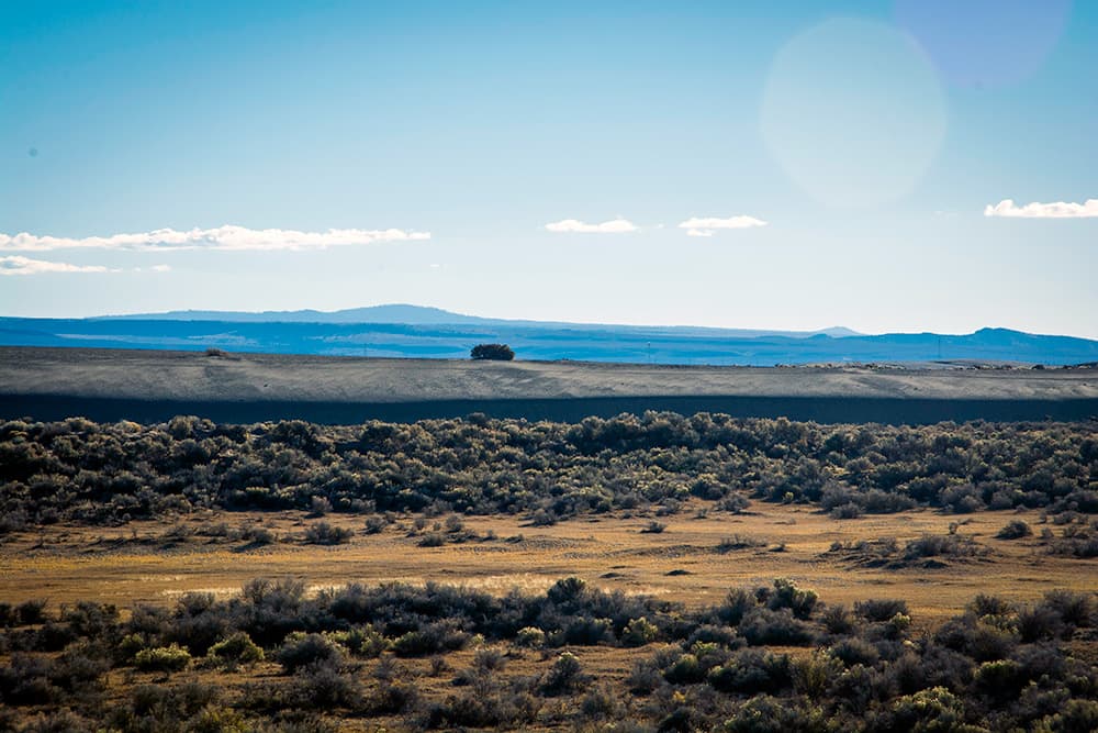 Bands of sand and sagebrush lead toward a lone tree on the horizon
