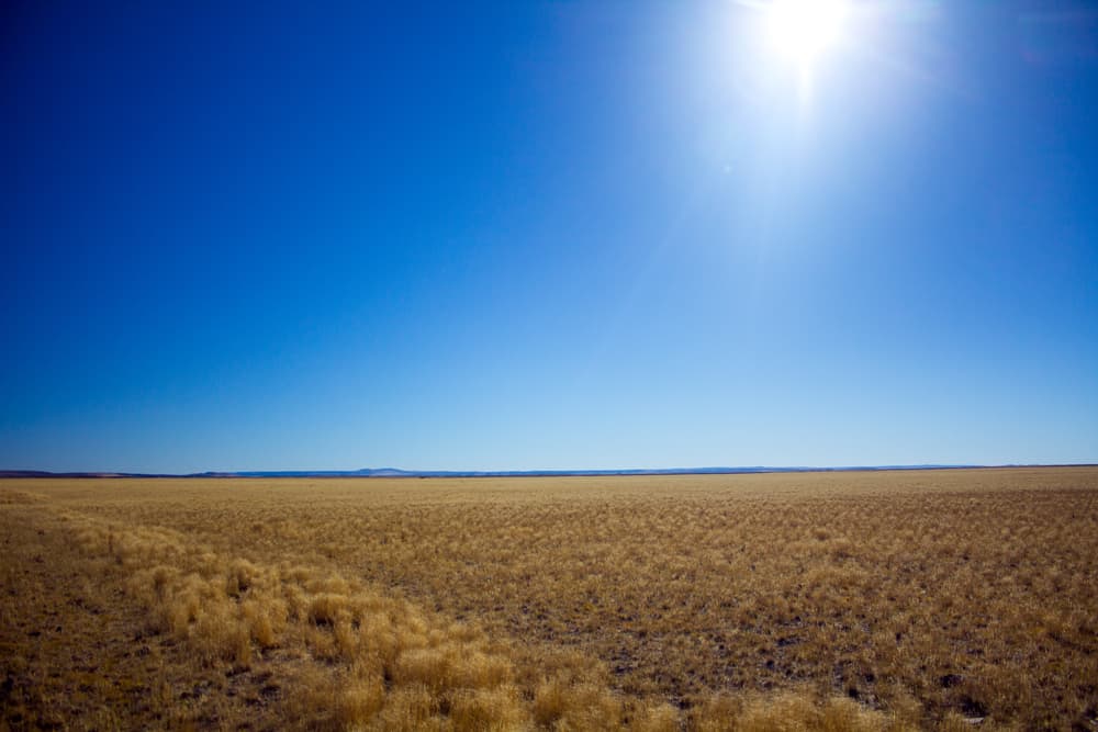Dry golden grassland beneath the sun near Malheur Lake
