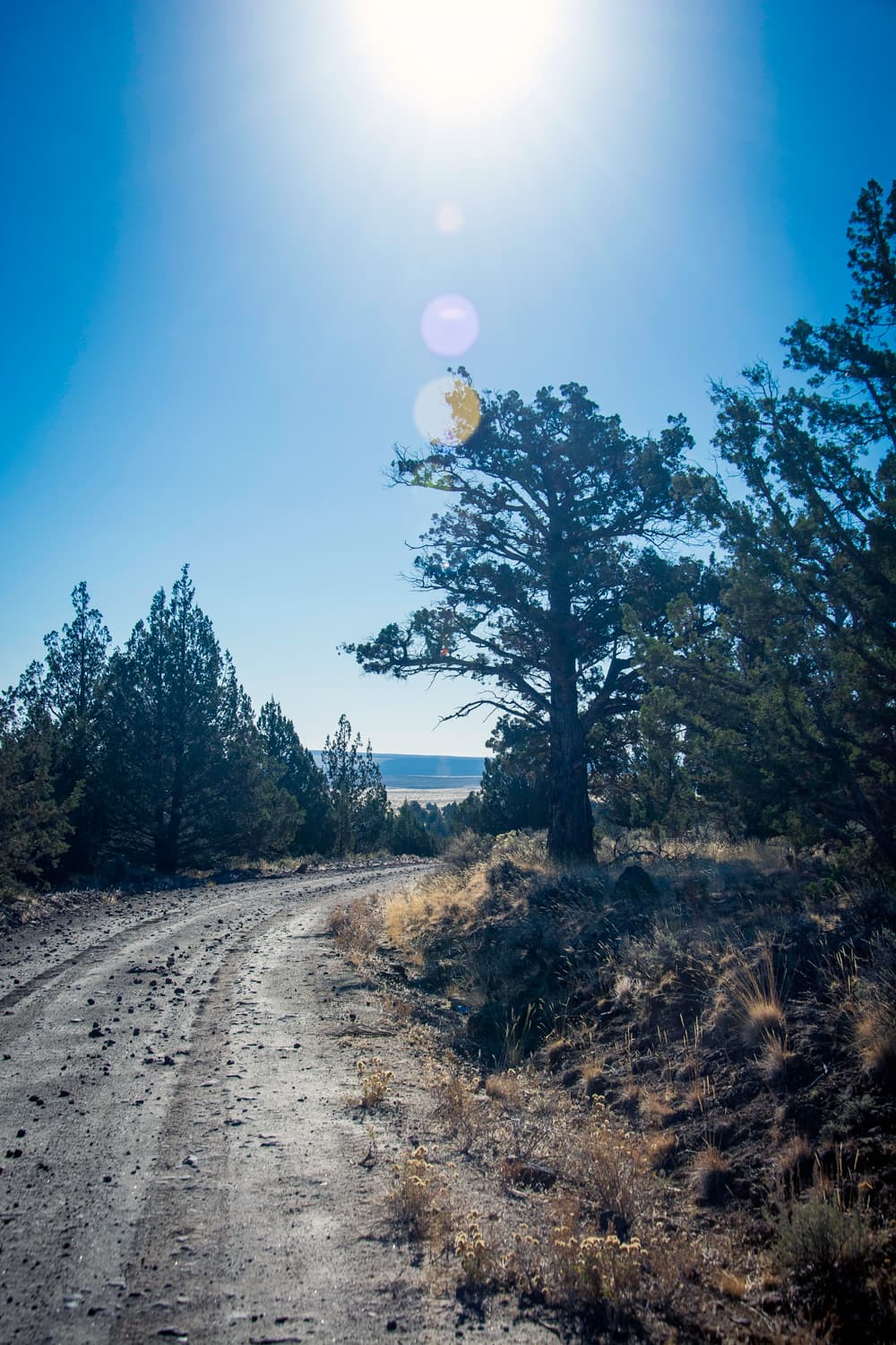 The approach road around Juniper Mountain on the way to Sagehen Lake