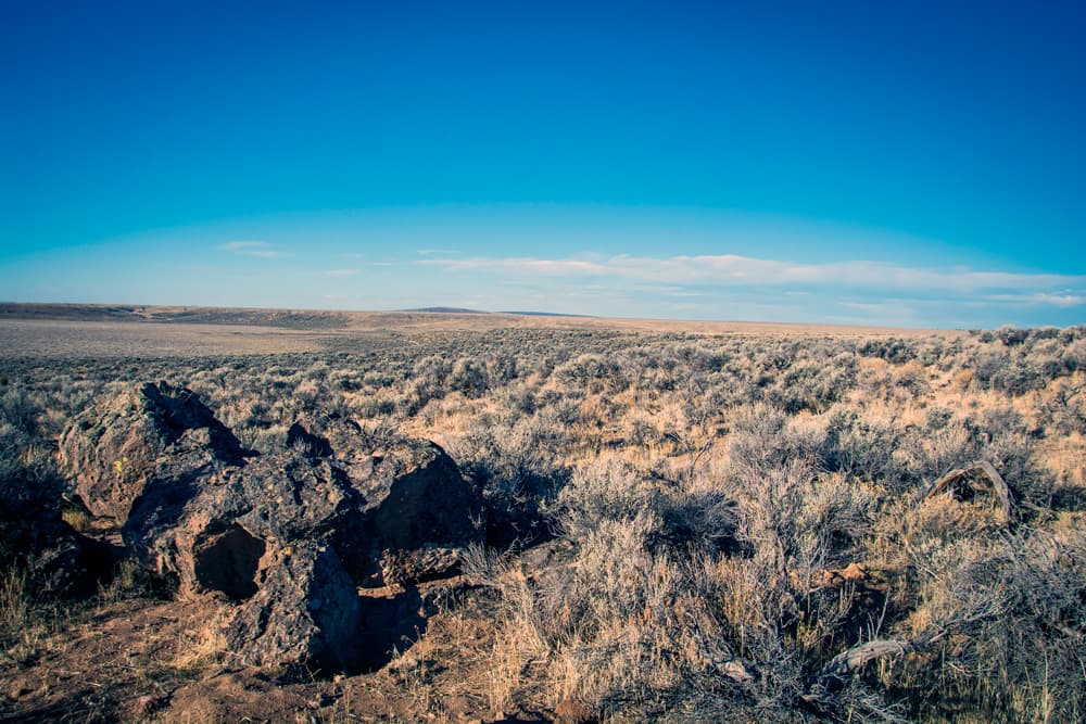 Looking west (I think) across the lake bed area towards Winter Rim.