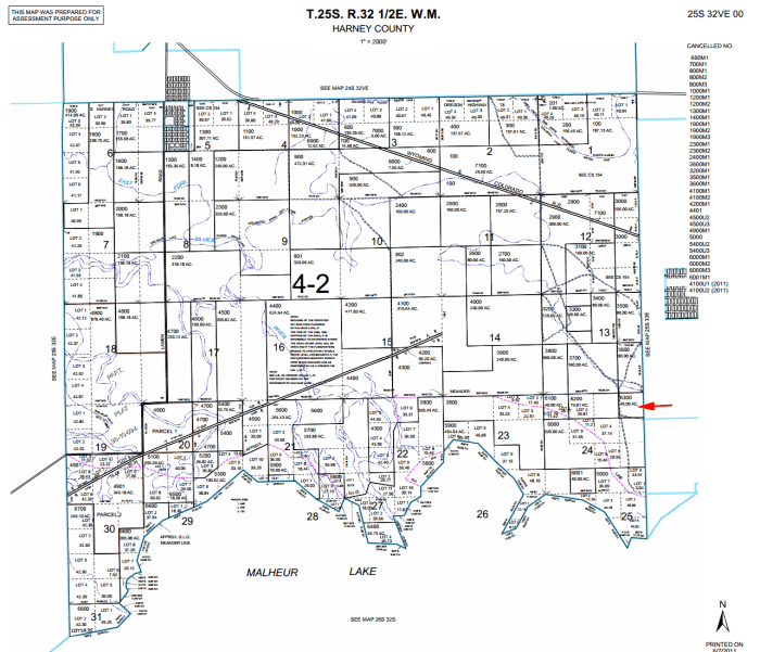 Just a stone's throw from Saddle Butte and Malheur Lake, this wetland and shoreland property offers unique recreational opportunities.