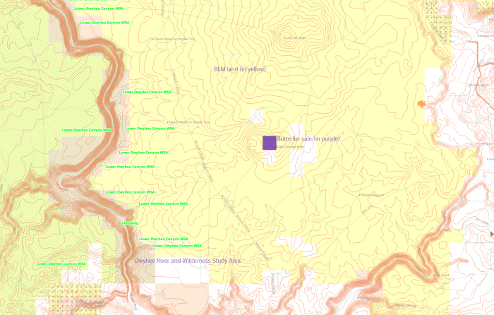 A rare private parcel amidst a sea of wilderness-quality government land, and close to the world-class Owyhee Riger.